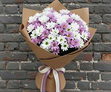 Букет цветов из:  Хризантемы #REPLACE_PRED# Вилюйске