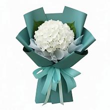 Букет цветов из:  Гортензия в Вилюйске